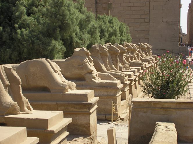 Viale delle sfingi a Luxor