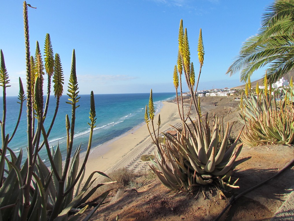 Fuerteventura - Fonte Pixabay Foto di sabineseitz77