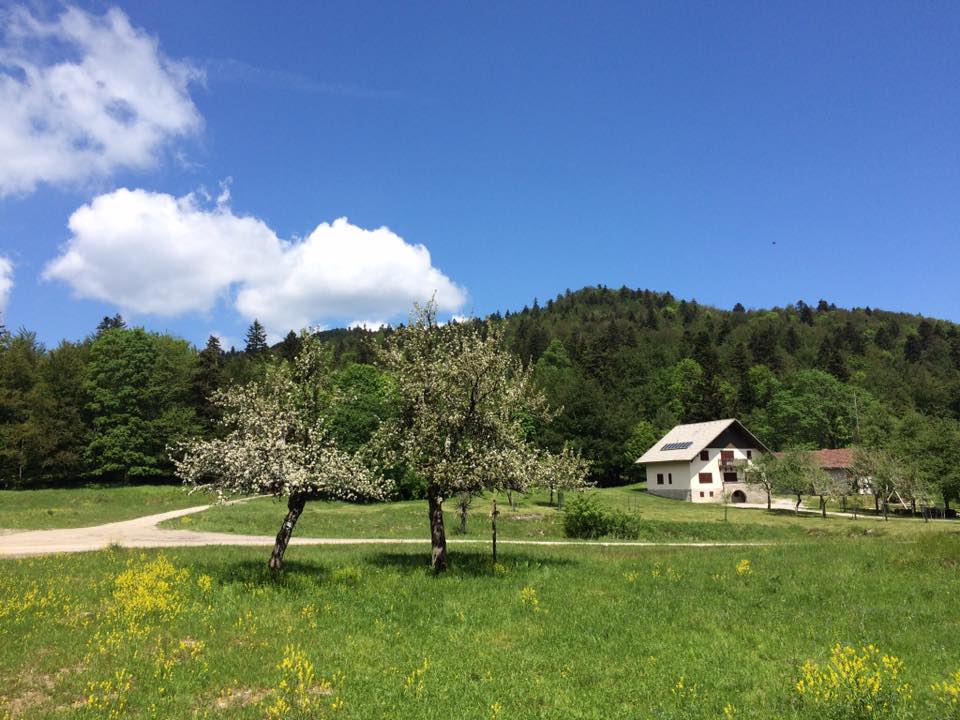 slovenia montagna estate
